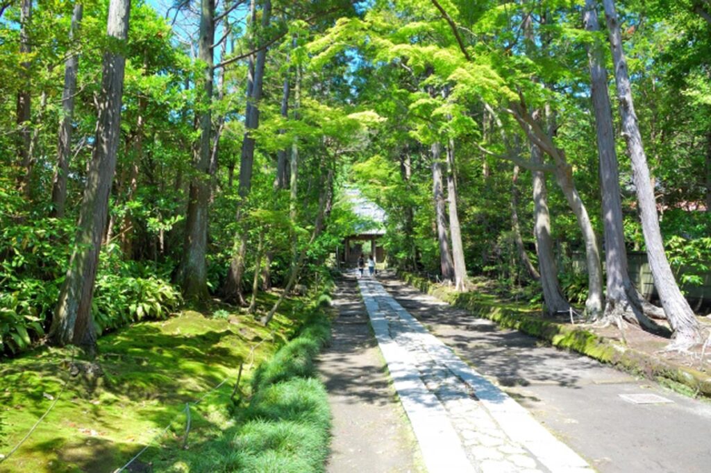 夏の本番の到来 キラキラ輝く7月がスタートしました